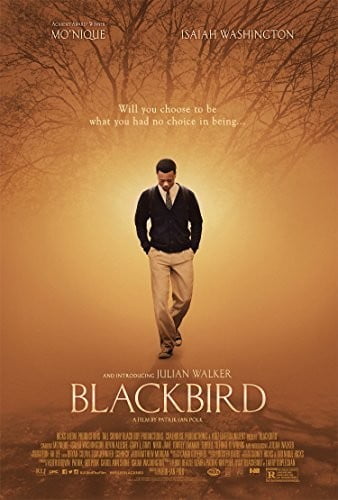Blackbird [Blu-ray]