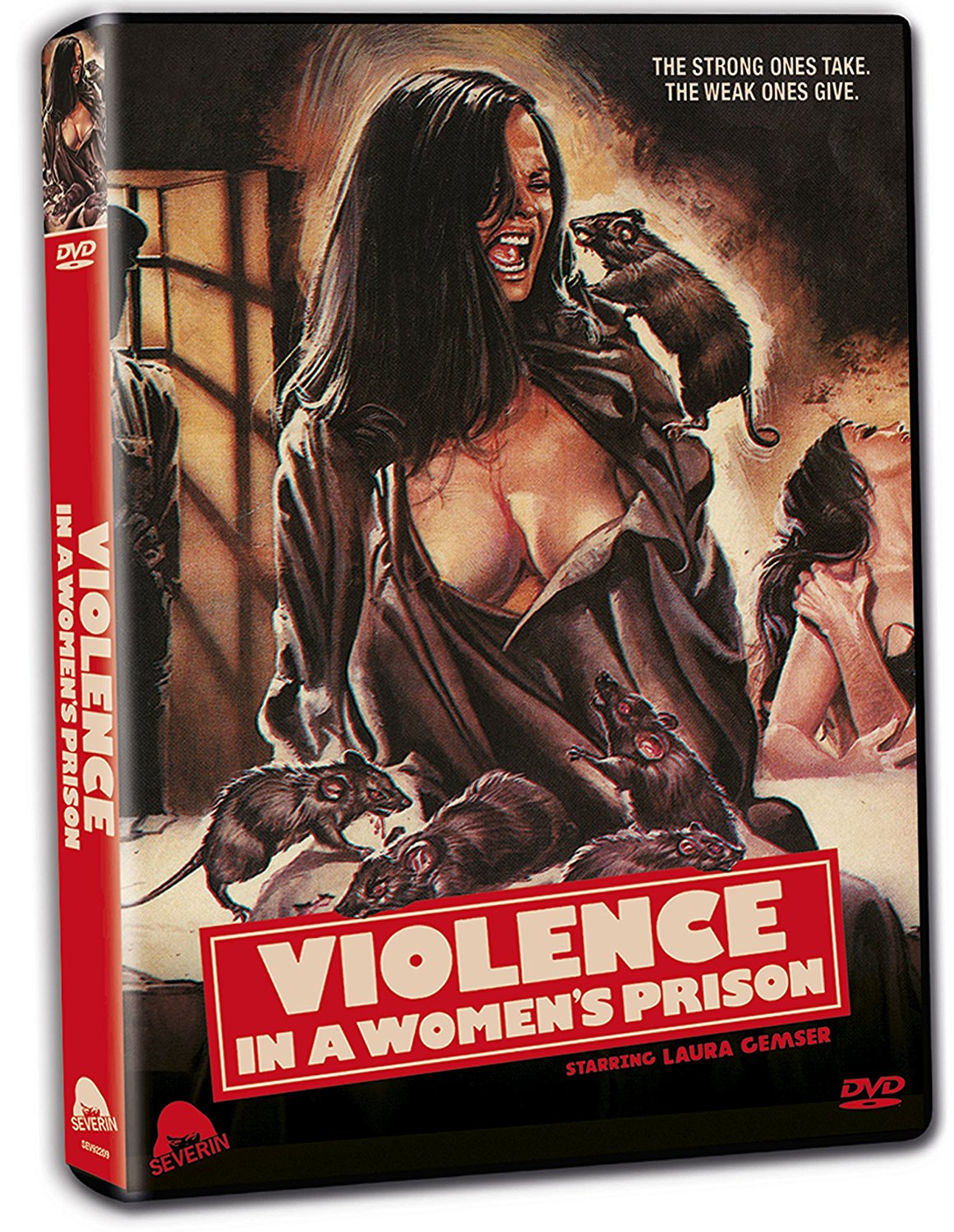Violence in a Women's Prison