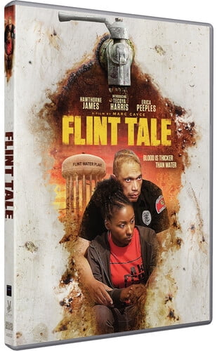 Flint Tale [DVD]