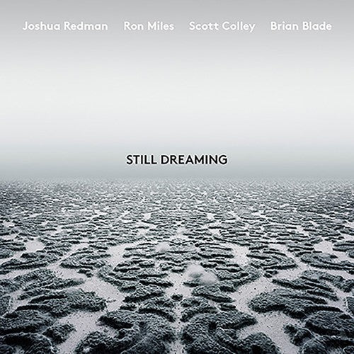 Still Dreaming (feat. Ron Miles, Scott Colley & Brian Blade)(Vinyl)