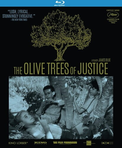 Olive Trees of Justice