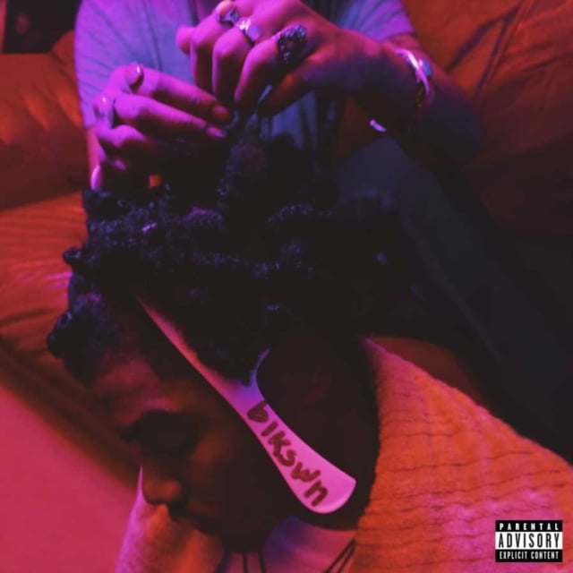 blkswn [2 LP]