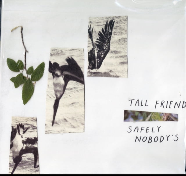 Safely Nobody's