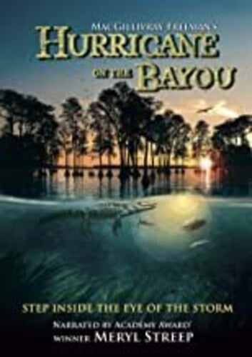 Hurricane On The Bayou