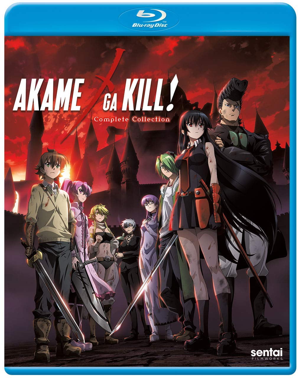 Akame Ga Kill: Complete Collection [Blu-ray]