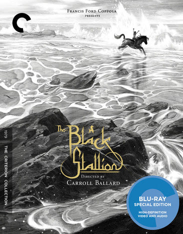 The Black Stallion [Blu-ray]