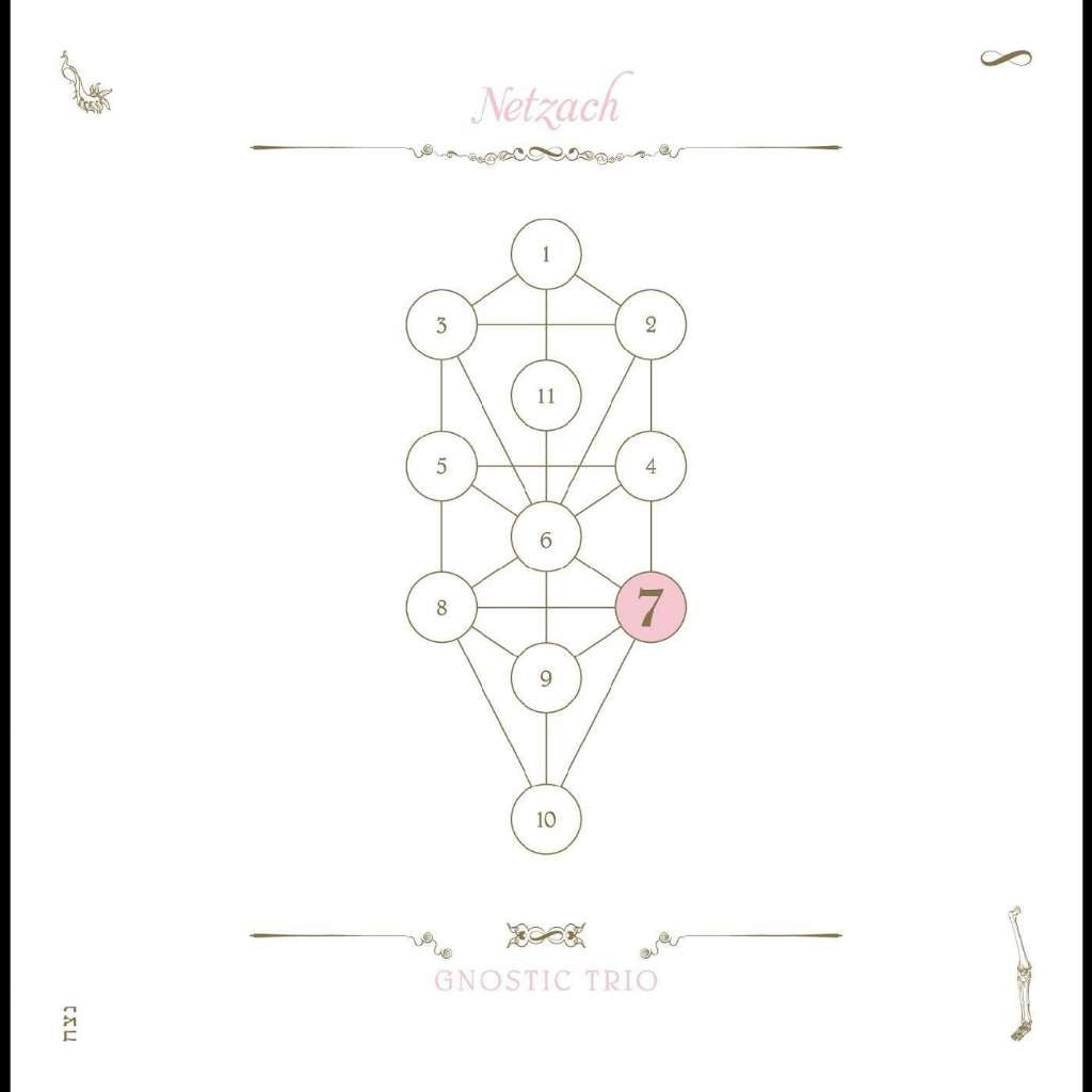 The Book Beri'ah Vol 7-Netzach
