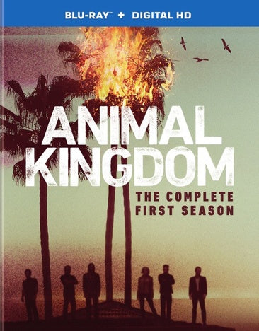 Animal Kingdom: The Complete First Season (BD) [Blu-ray]