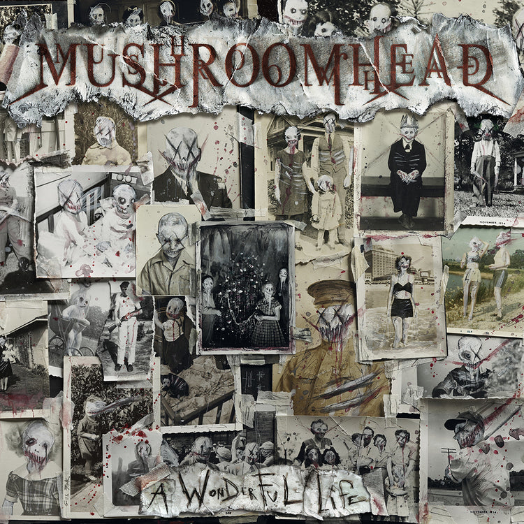 A Wonderful Life (Limited Deluxe Edition)