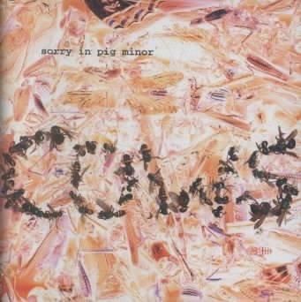 Sorry In Pig Minor