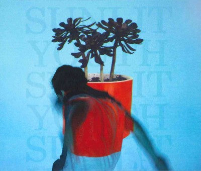 Sunlit Youth
