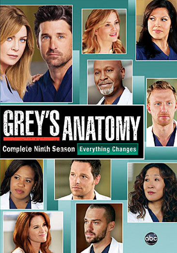 Grey's Anatomy: The Complete Ninth Season