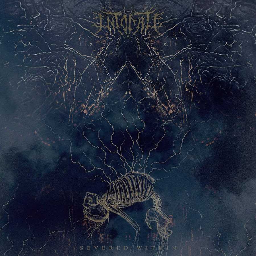 Severed WIthin