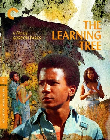 The Learning Tree (The Criterion Collection) [Blu-ray]