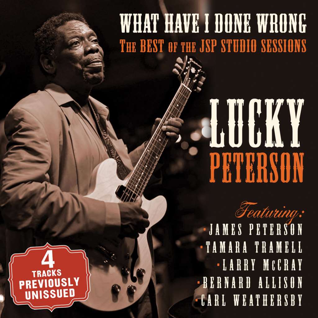 What Have I Done Wrong: The Best Of The JSP Sessions