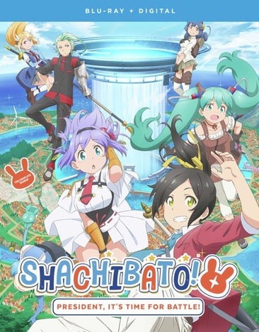 Shachibato! President, It's Time for Battle!: The Complete Season [Blu-ray]