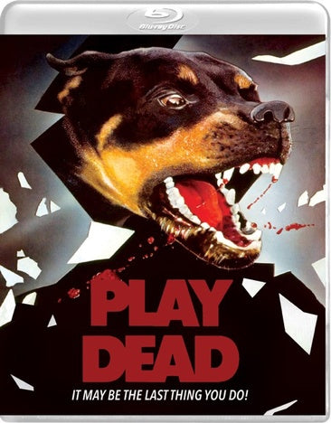 Play Dead [Blu-ray/DVD Combo]