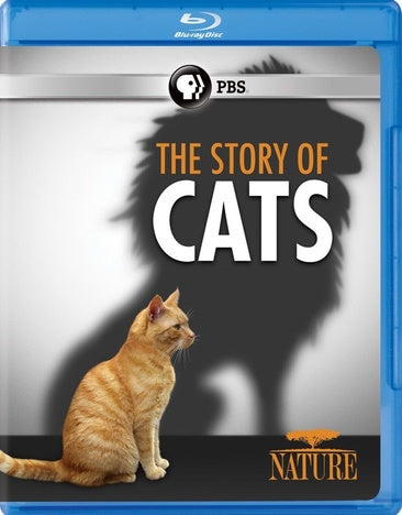 NATURE: The Story of Cats Blu-ray