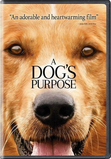 A Dog's Purpose (DVD)