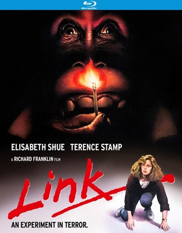 Link (Special Edition) [Blu-ray]