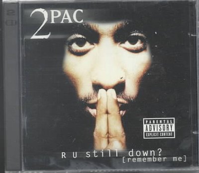 R U Still Down? (Remember Me)