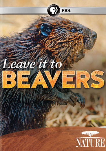 Nature: Leave It to Beavers