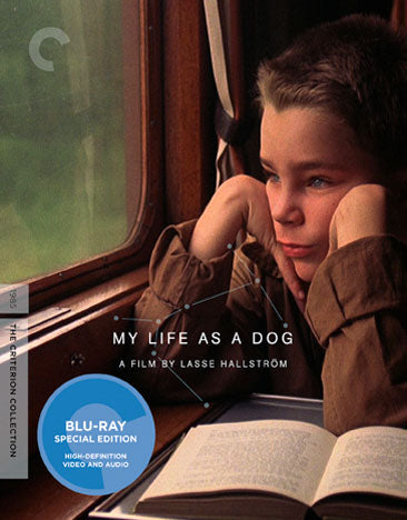 My Life as a Dog (Criterion Collection) [Blu-ray]
