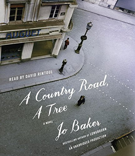 A Country Road, A Tree: A Novel cover